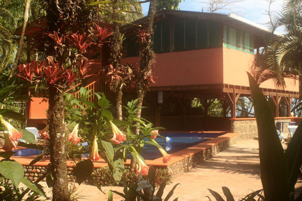 Perla Negra Hotel Puerto Viejo de Talamanca Eksteriør billede